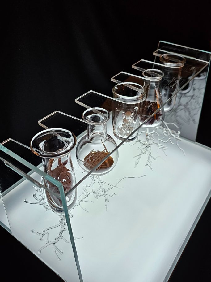 Clear glass test tube rack with 5 glass test tubes with glass fungi and glass mycelium 