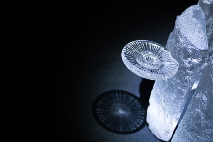 Sand casted clear glass textured tree truck with handblown, engraved bracket fungi.